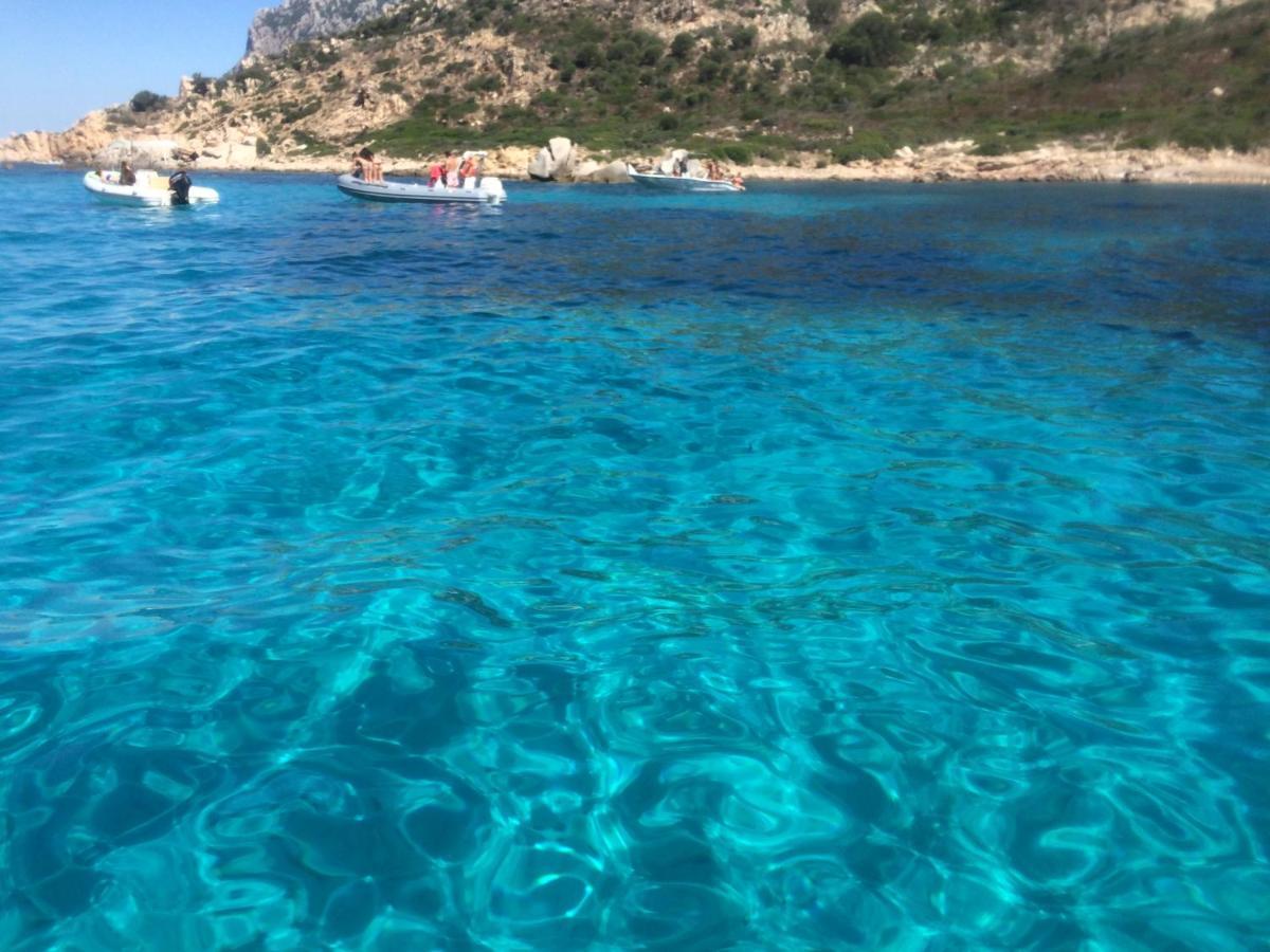 托雷斯港Casa Sul Mare Golfo Dell'Asinara I公寓 外观 照片
